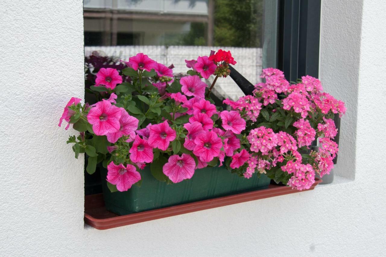 Ferienwohnung Heissl Fieberbrunn Kültér fotó